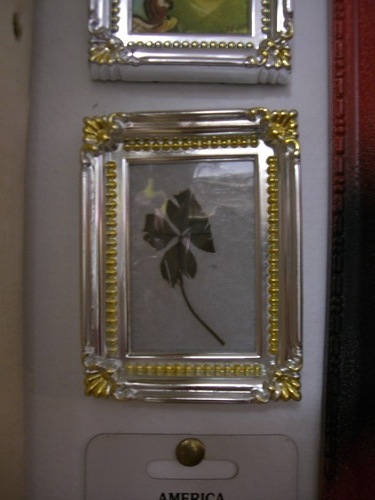 small_4leafclover.JPG