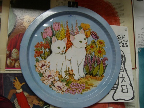 small_cat_plate.JPG